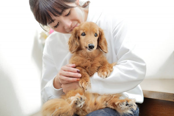 愛犬家住宅アドバイザー