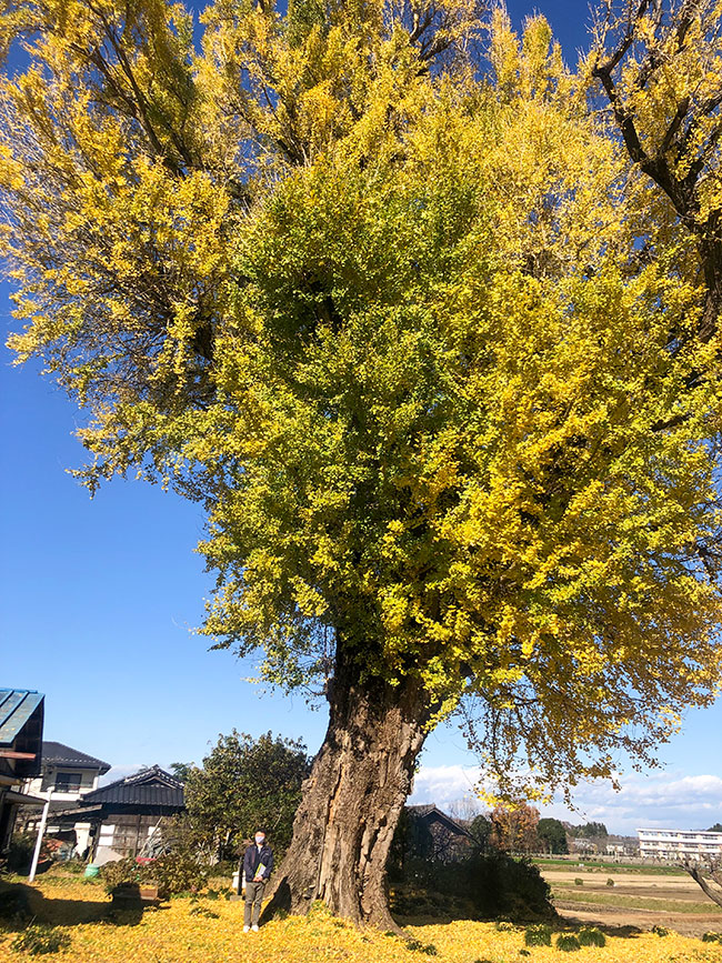 真岡市で家を建てるならとちの木ホーム