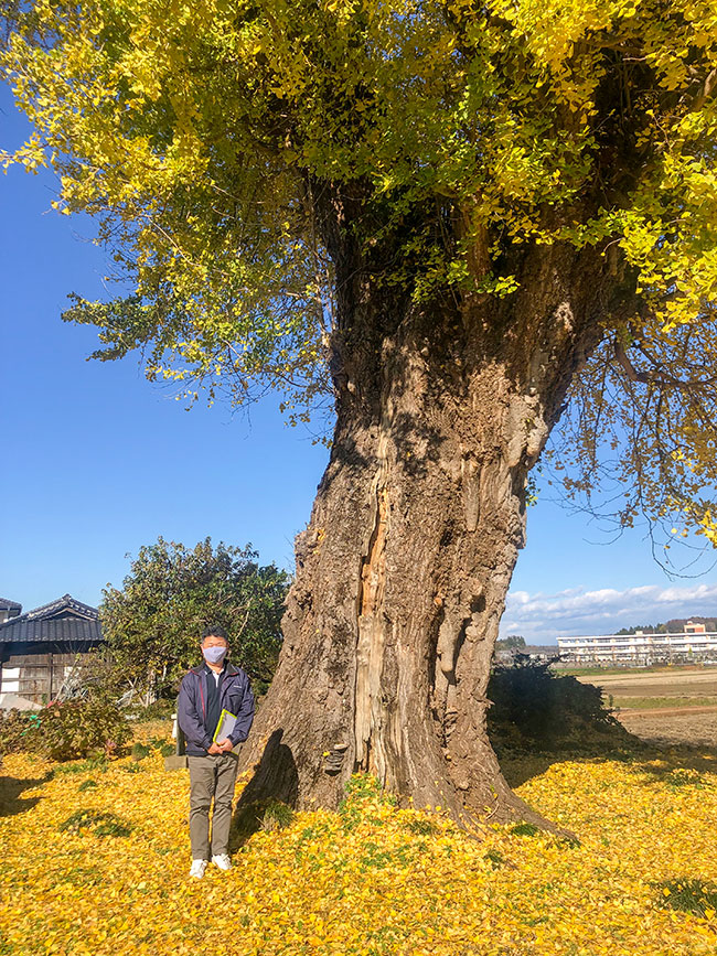 真岡市で家を建てるならとちの木ホーム