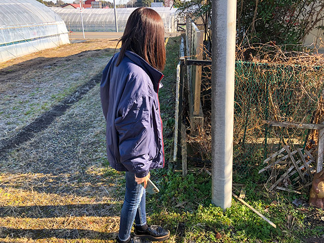 真岡市で家を建てるならとちの木ホーム