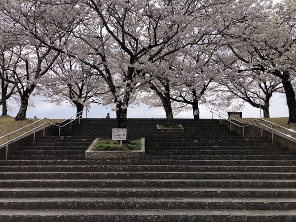 真岡市で注文住宅を建てるならとちの木ホーム