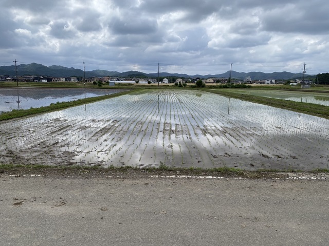 真岡市で注文住宅を建てるならとちの木ホーム