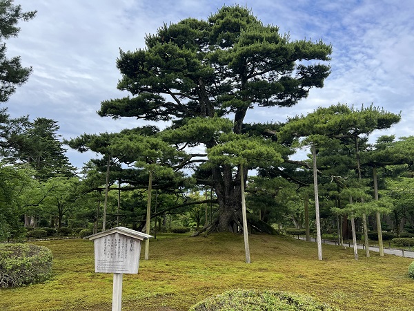 真岡市で注文住宅を建てるならとちの木ホーム