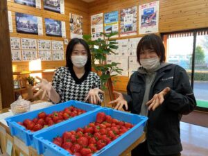 とちの木ホーム　見学会　平屋　1.5階建て　２階建て　新築　自由設計　３０代　４０代　５０代　2LDK　3LDK　4LDK